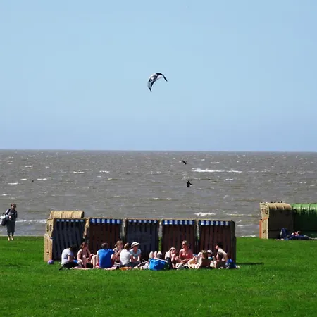 Borkum 11