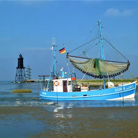 Borkum 11 Dorumer Neufeld